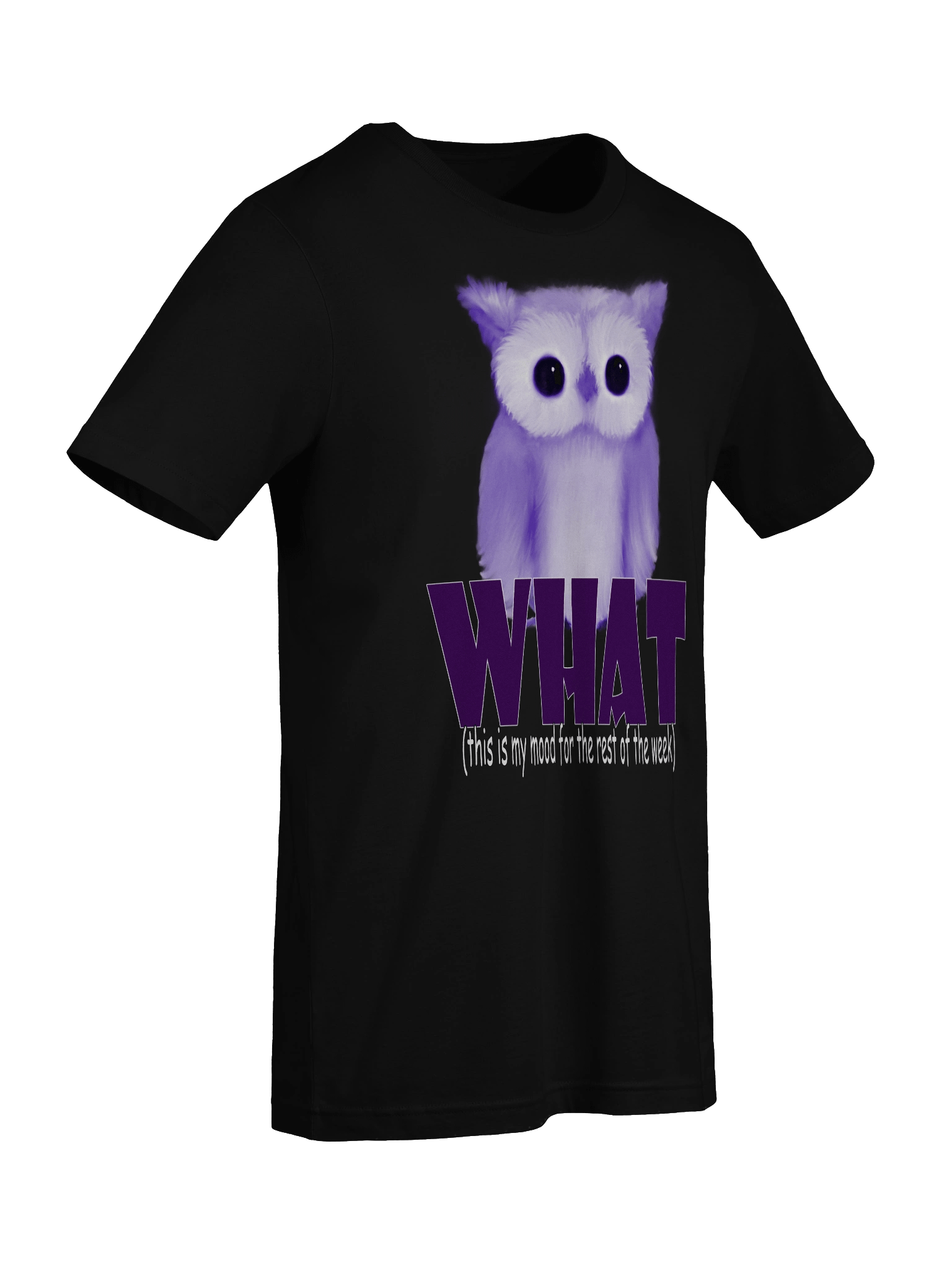 Whimsical Owl Mood T-Shirt product image (9)