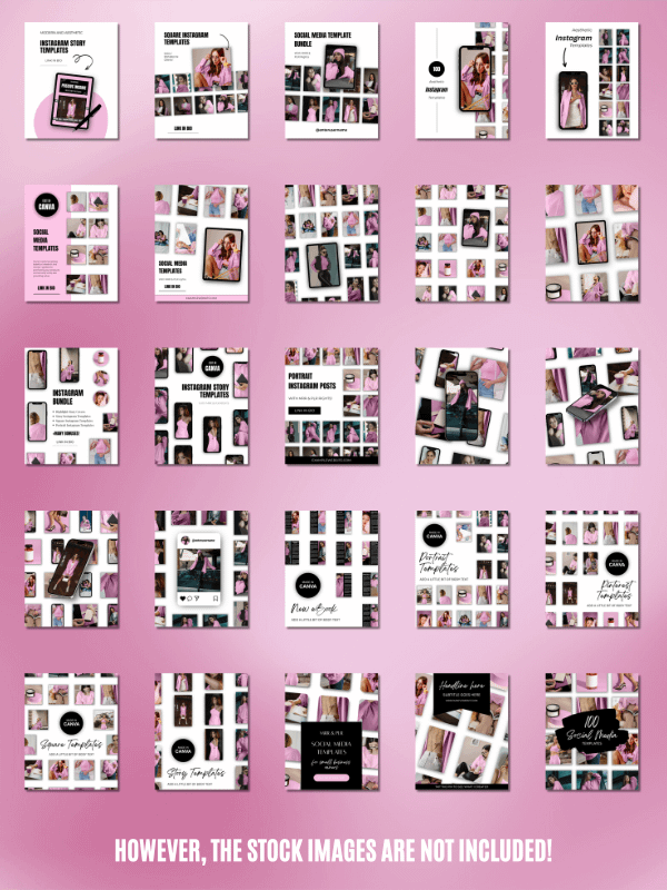 MRR/PLR Instagram Templates for Digitals product image (2)