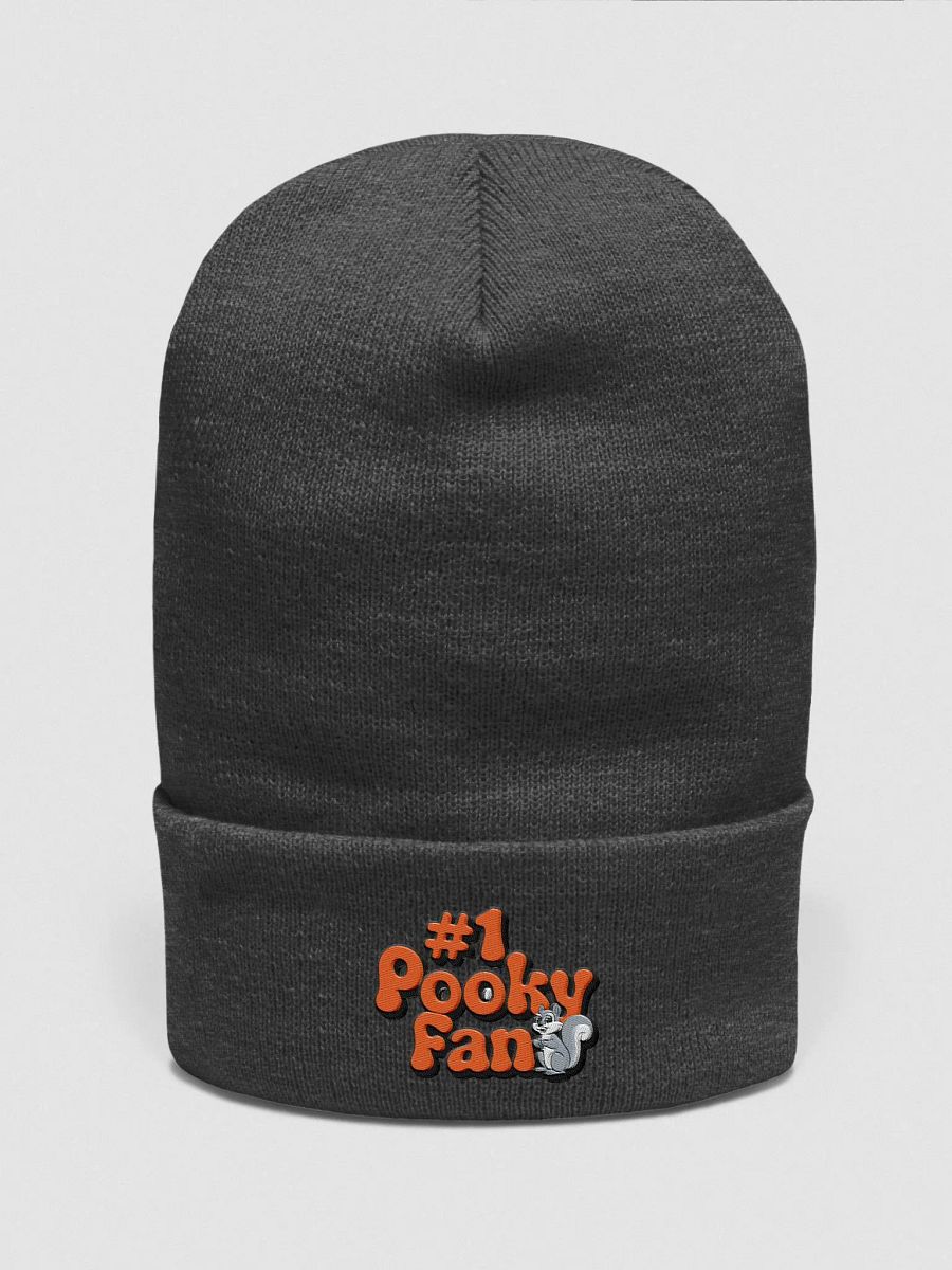 Pooky's #Fan 70s vibe supersoft beanie product image (1)