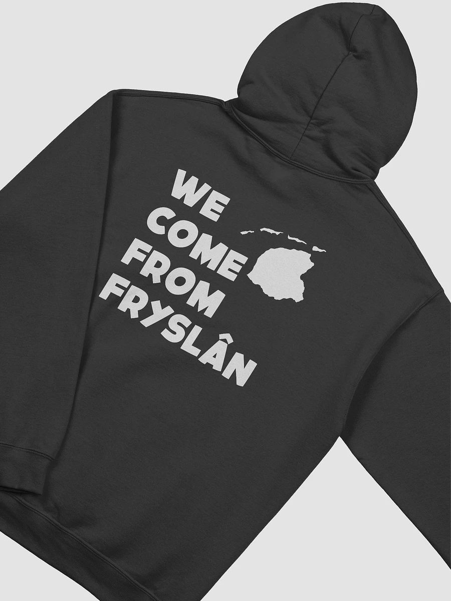 We Come From Fryslân - Hoodie product image (11)