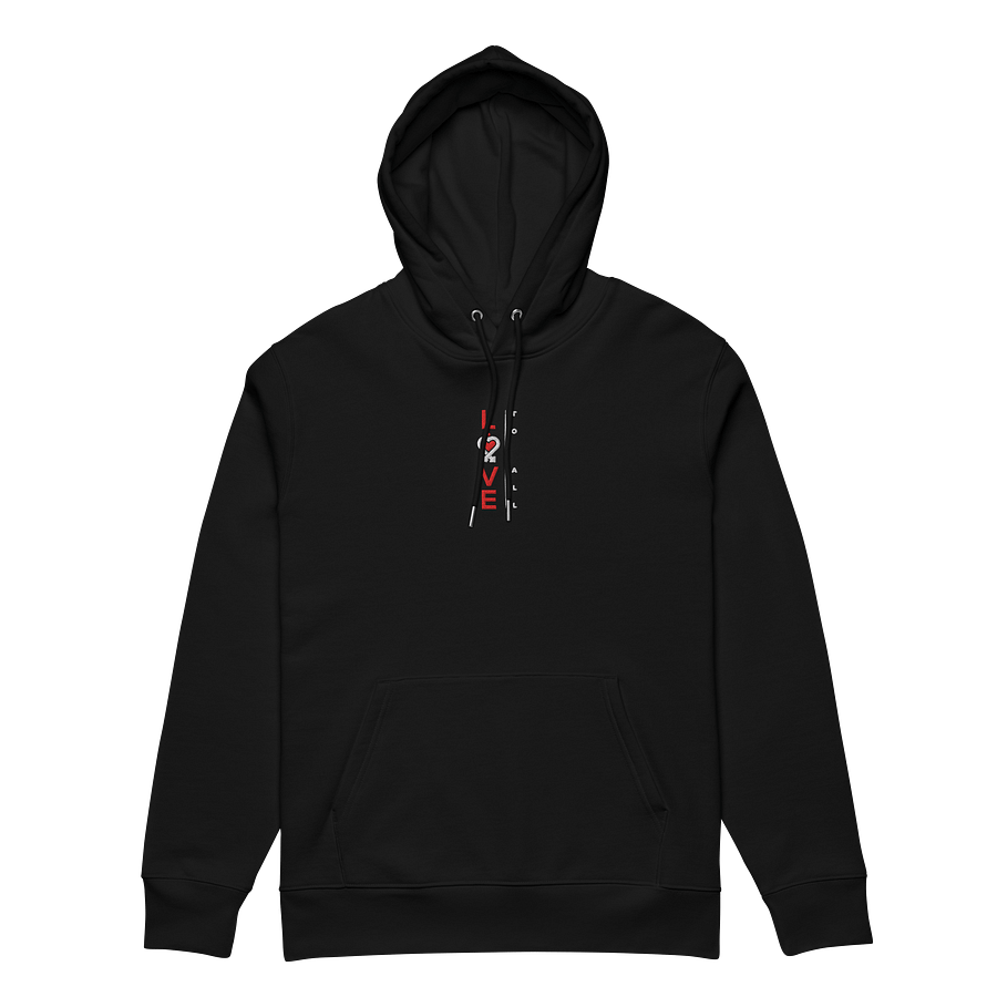 L2A 2025 Embroidered Plus Sized Hoodie product image (6)