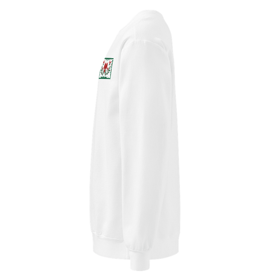Viva Hungaria Embroidered Sweatshirt product image (3)