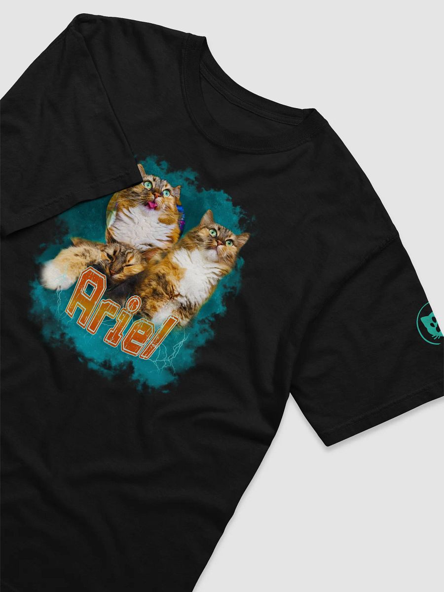 Bday Shirt Spinkittea and ariel! product image (3)