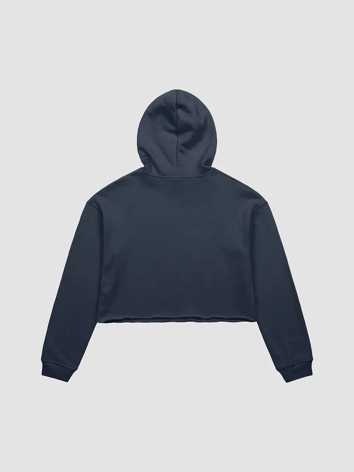 Mom Style Bedside Manner Crop Hoodie product image (13)