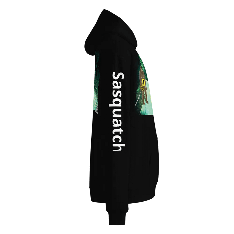 Sasquatch Crossing | Oversized Hoodie product image (6)