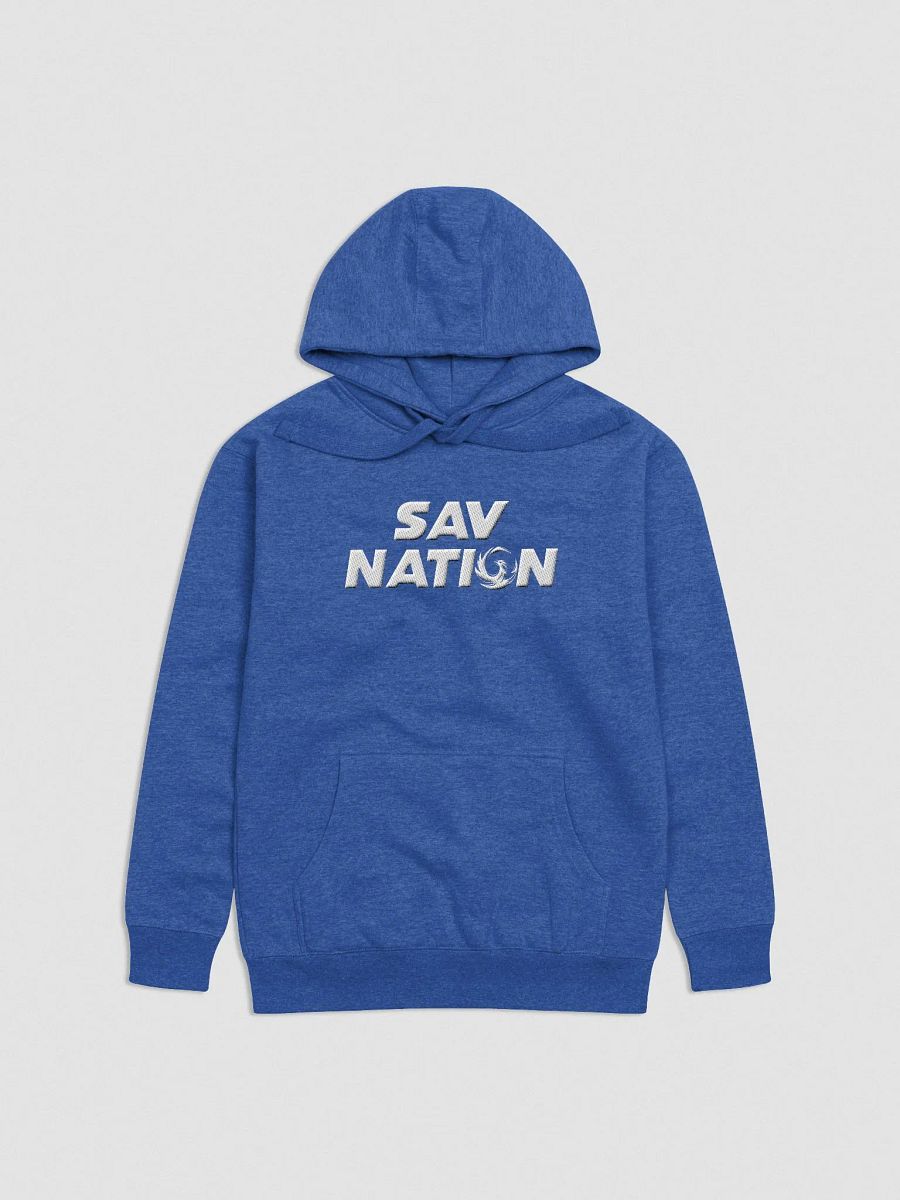 Sav Nation Embroidered Hoodie product image (35)