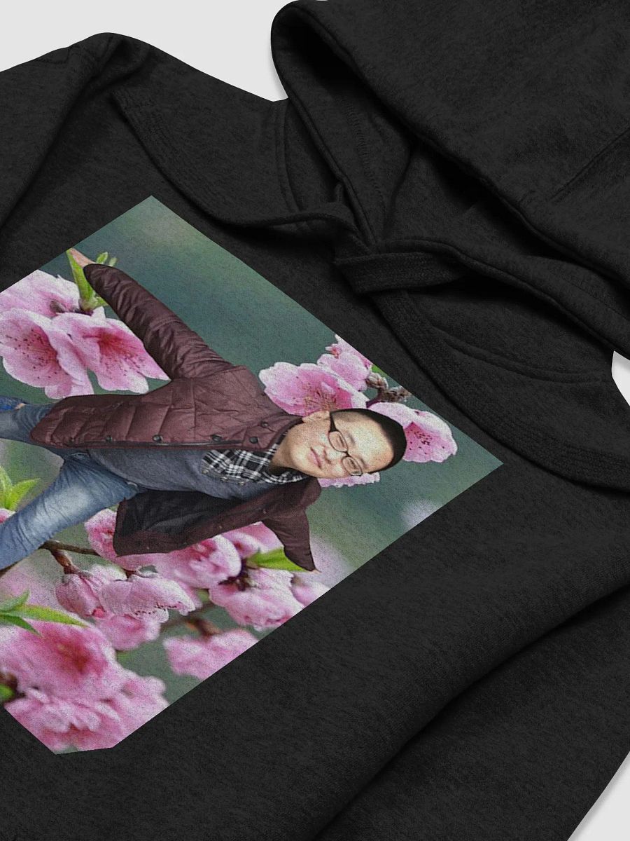 Cotton Heritage Unisex Premium Hoodie : fly product image (4)