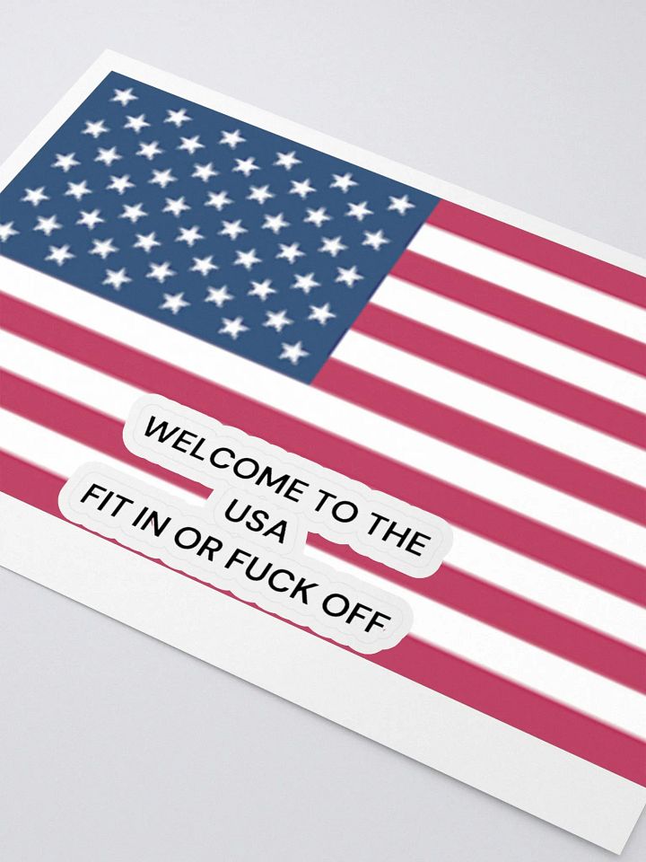 Stars & Stripes FIT IN OR F*CK OFF STICKERS product image (2)