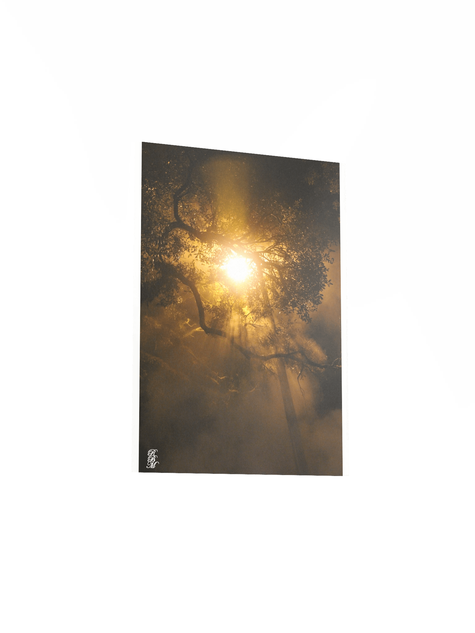 Light through Tree Branches product image (16)