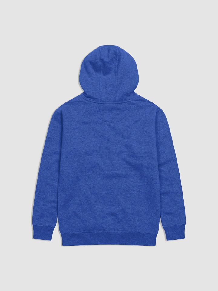Prominent Merch Preminum Hoodie product image (10)