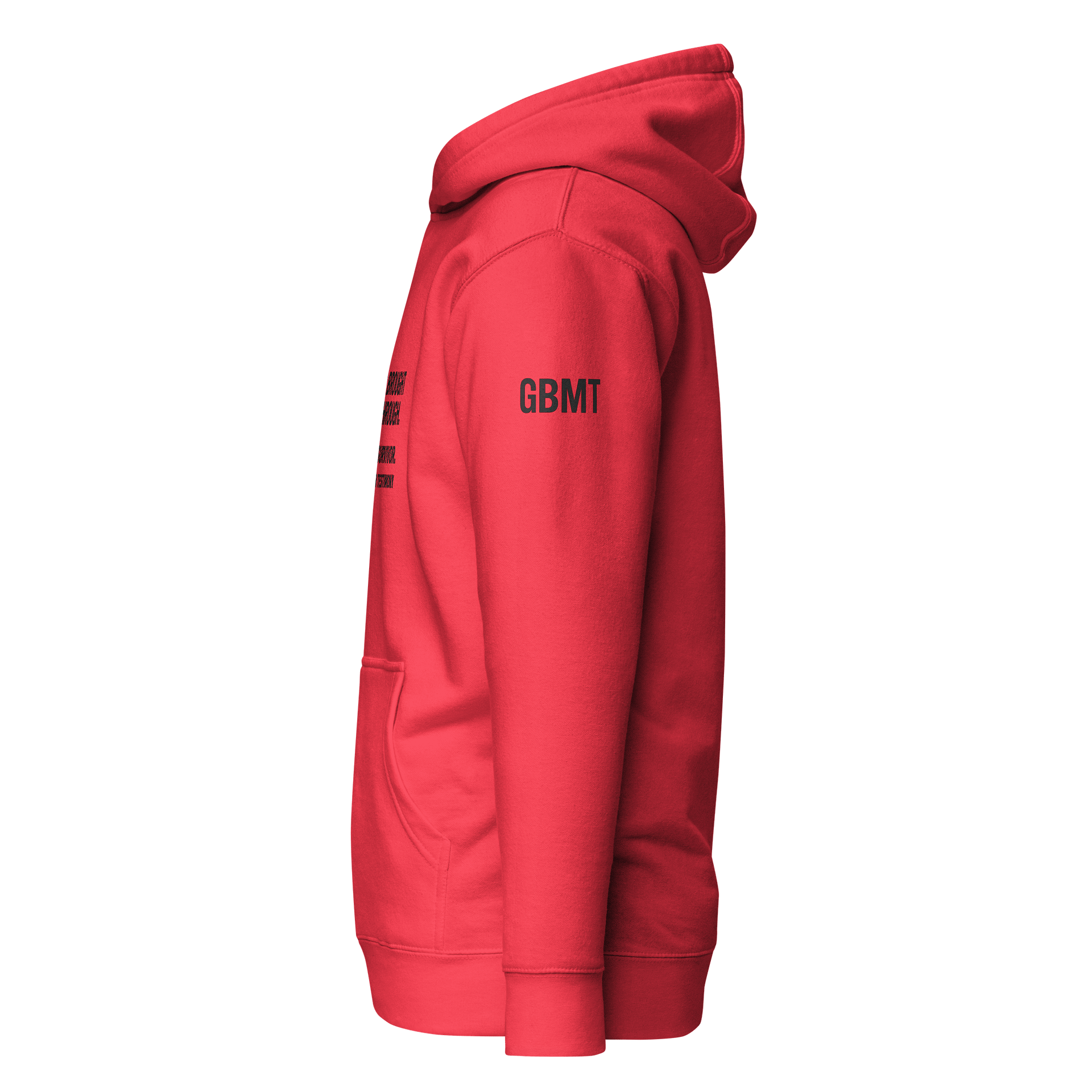 God Brought Me Through Hoodie -A Real Survivor I Wear Your Testimony Collection product image (8)