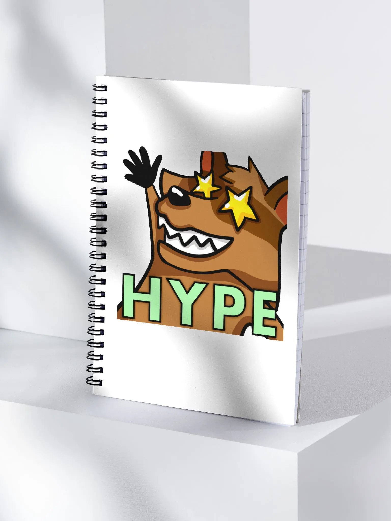 Hype it up notebook product image (3)