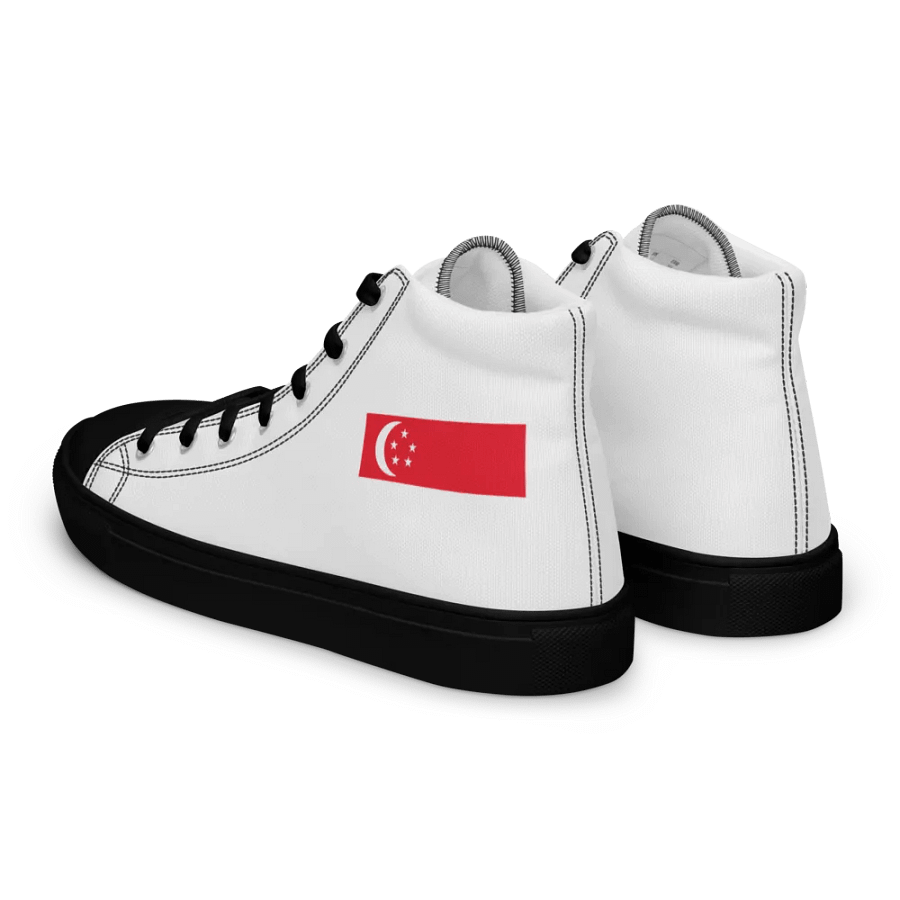 singapore product image (3)