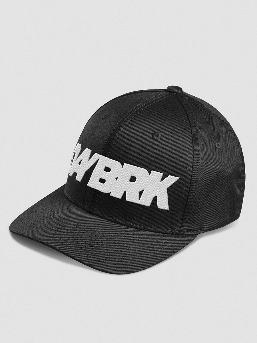 Daybrk Flexfit product image (7)