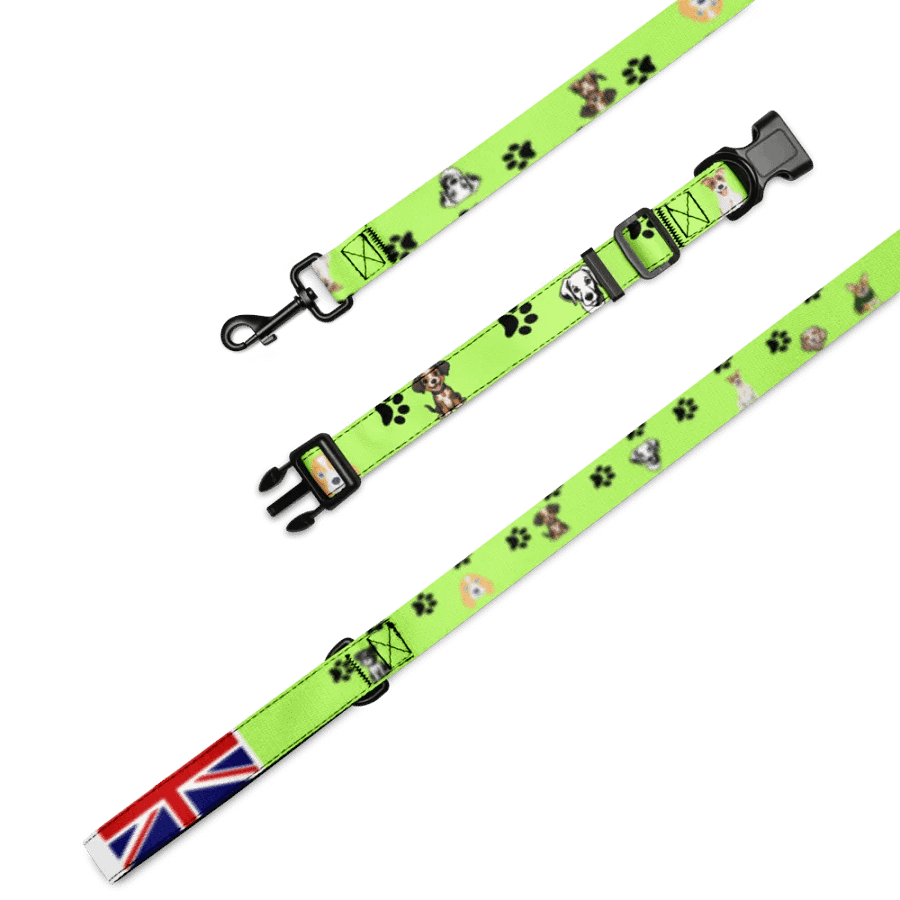 Iconic British Pet Collar & Leash Set product image (4)