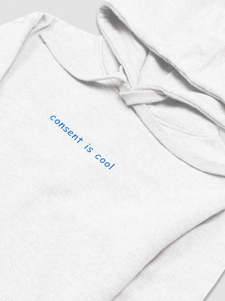 Consent is Cool Embroidered Hoodie product image (2)