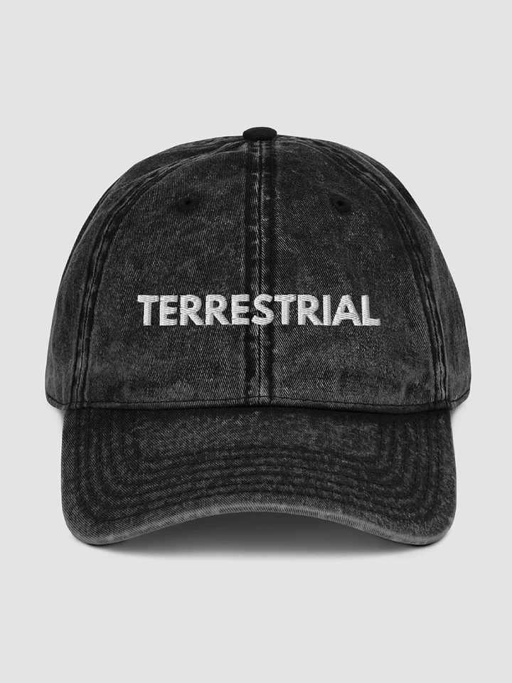 Classic Logo Distressed Hat product image (1)