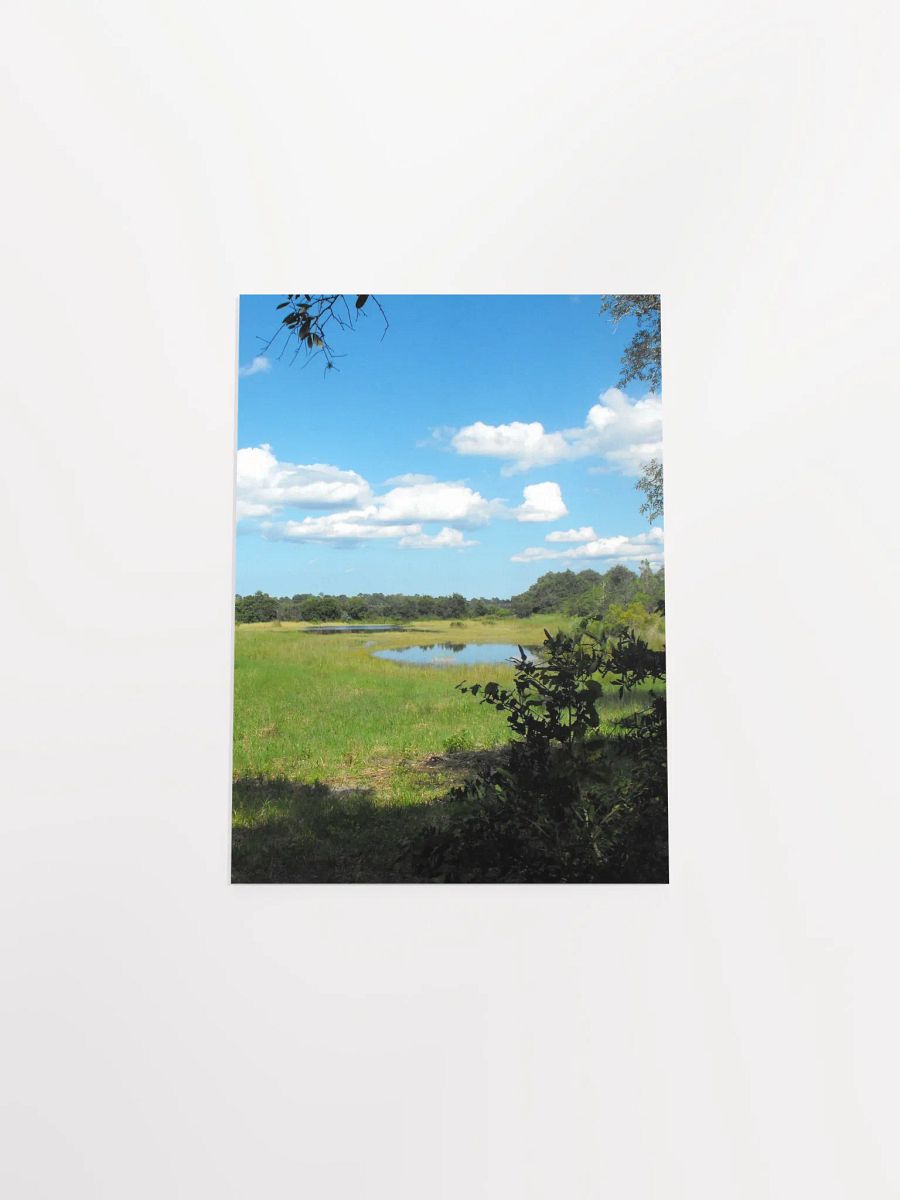 Florida Pond product image (44)
