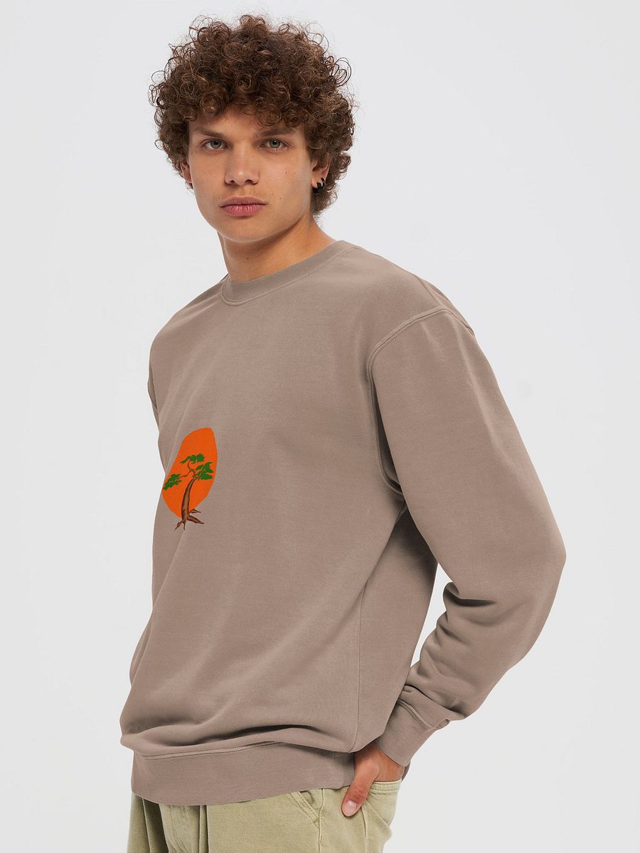 Vintage Pigment Dyed Crew Sweatshirt product image (5)