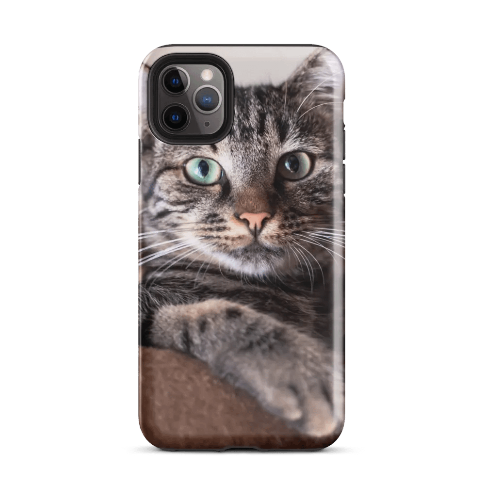 Cuddly Kitty Phone Case for Cat Lovers product image (34)