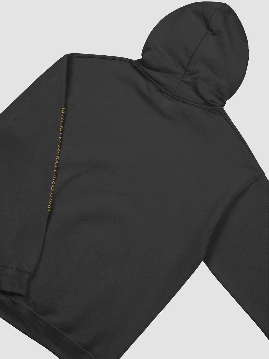 Emotional Support Chicken Hoodie (D&D Series) product image (21)