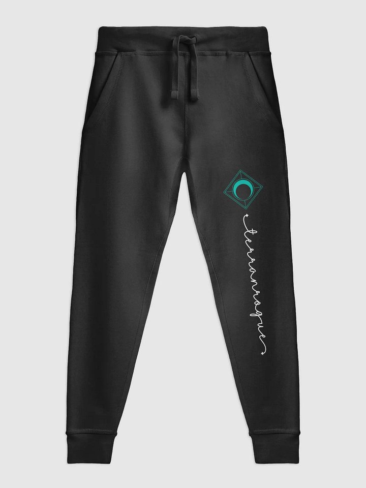 TerranRogue Joggers product image (1)