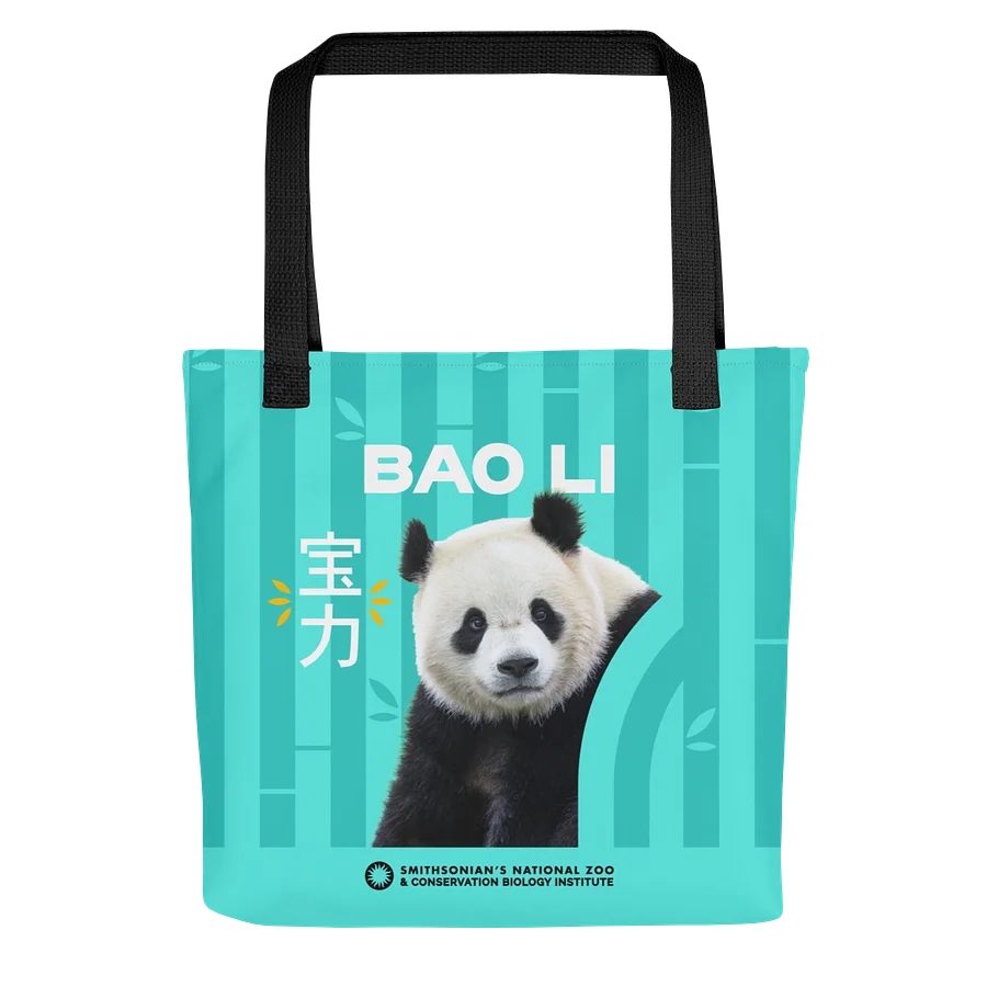 Bao Li & Qing Bao Tote Image 2