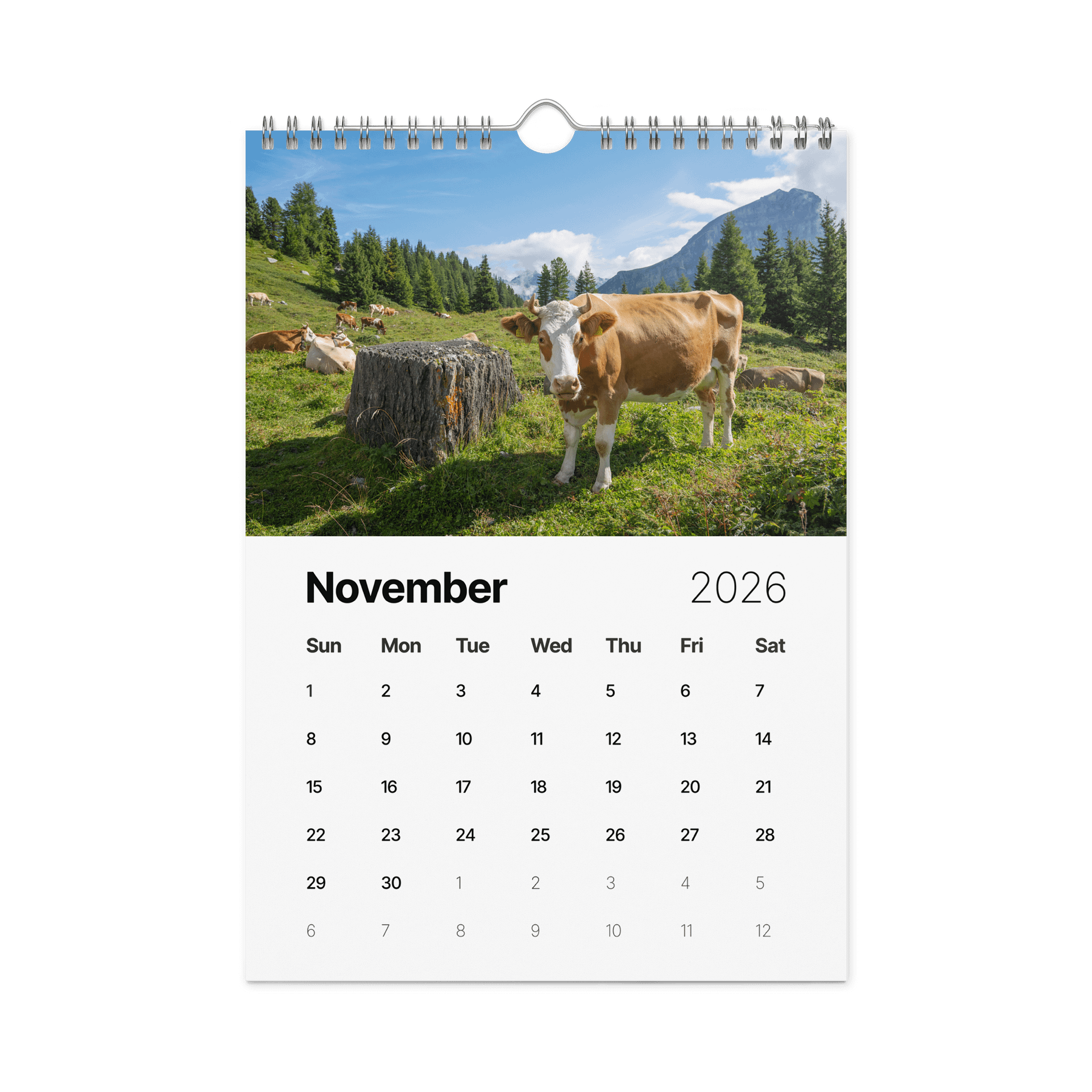Swiss Cow Calendar 2026 product image (12)