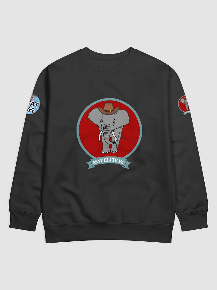NOT ELITE FC Jumper product image (1)