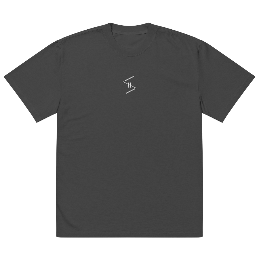 'Standard' embroidered OVERSIZED t-shirt product image (5)
