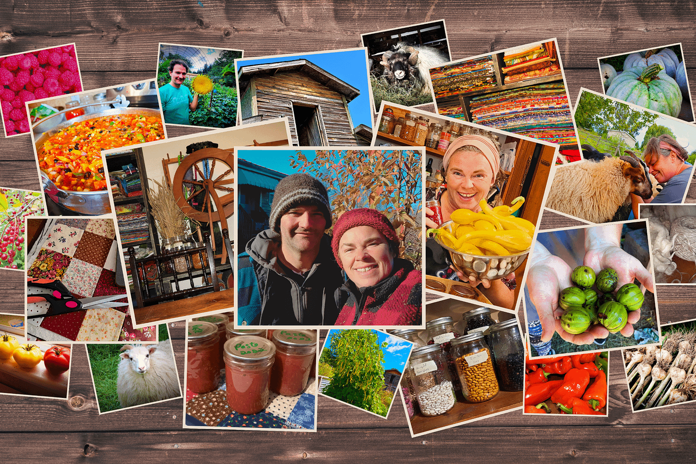 https://themes.fourthwall.com/themes/assets/301f4178-8504-4c6e-b867-dd46fb34dbb1/assets/image-1699326417-image-8205d782817dbf70f7483c942ea51f43cfa1b558a8a1704dda6caaa0042ee61a.png