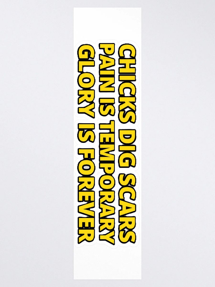 CHICKS DIG SCARS, PAIN IS TEMPORARY, GLORY IS FOREVER product image (3)