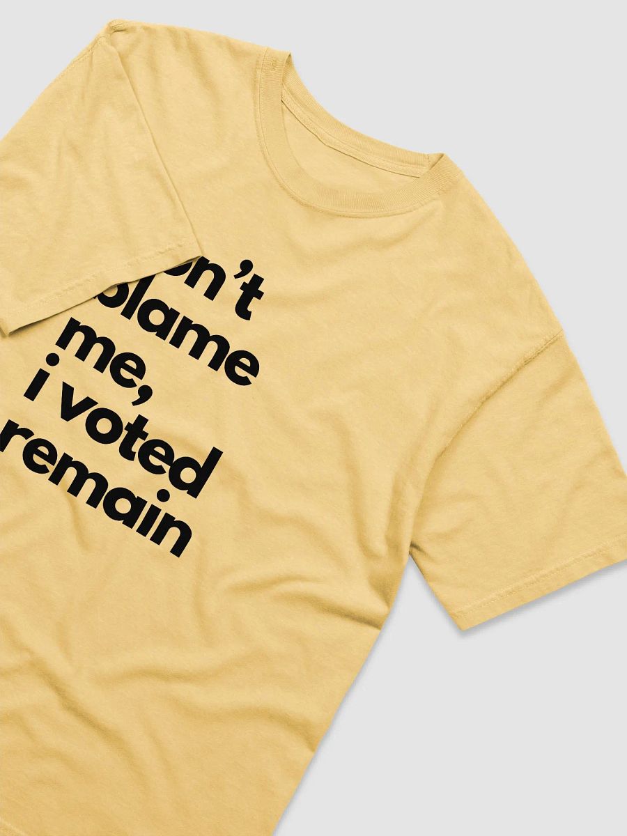 Don't Blame Me, I Voted Remain product image (11)