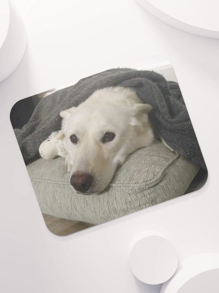 blanket boy product image (2)