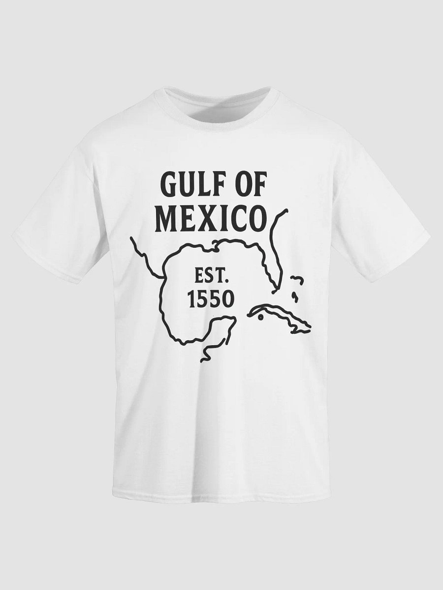 Modern Cartography Tee – Gulf of Mexico EST. 1550 Map Shirt product image (7)