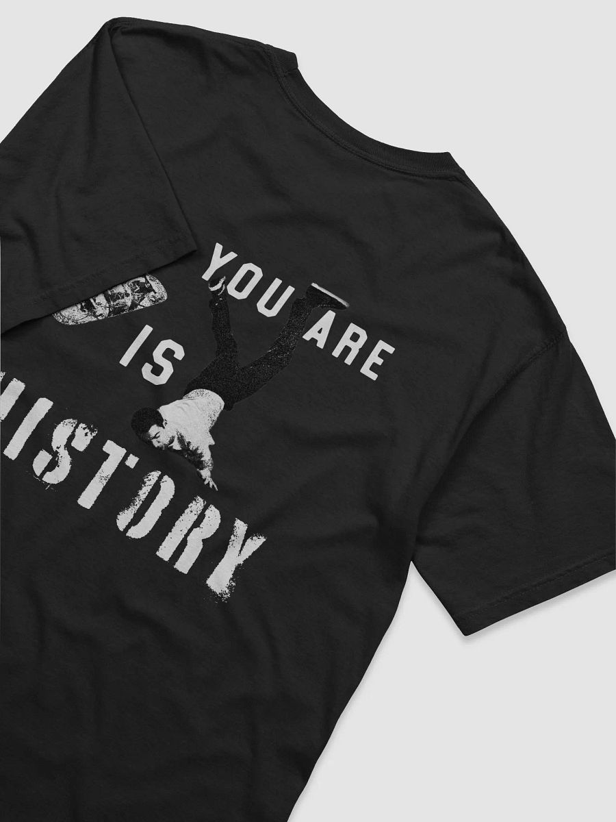 ALL YOU ARE IS HISTORY product image (4)