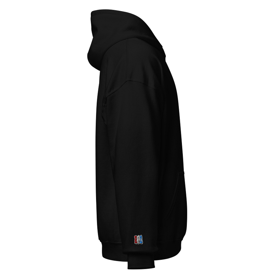 UBC "Ultras" Hoodie product image (4)