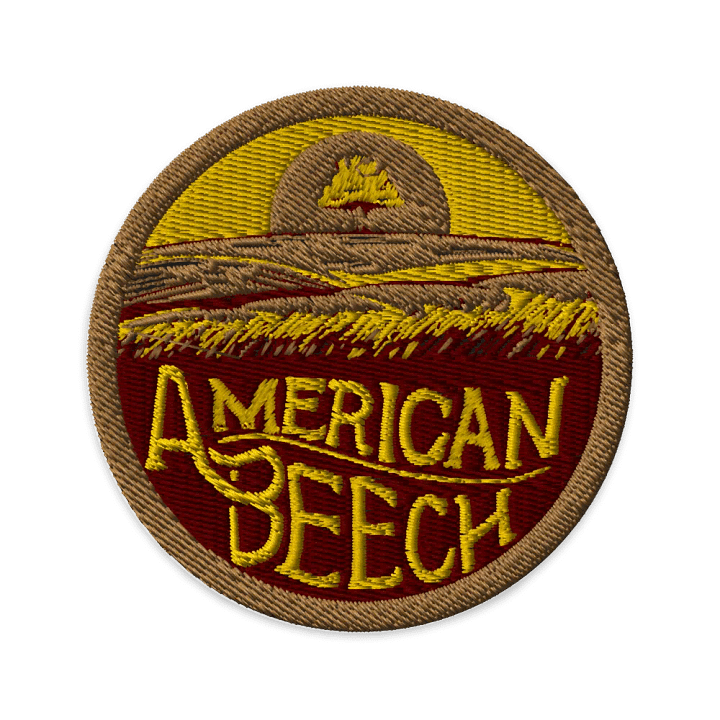 American Beech 