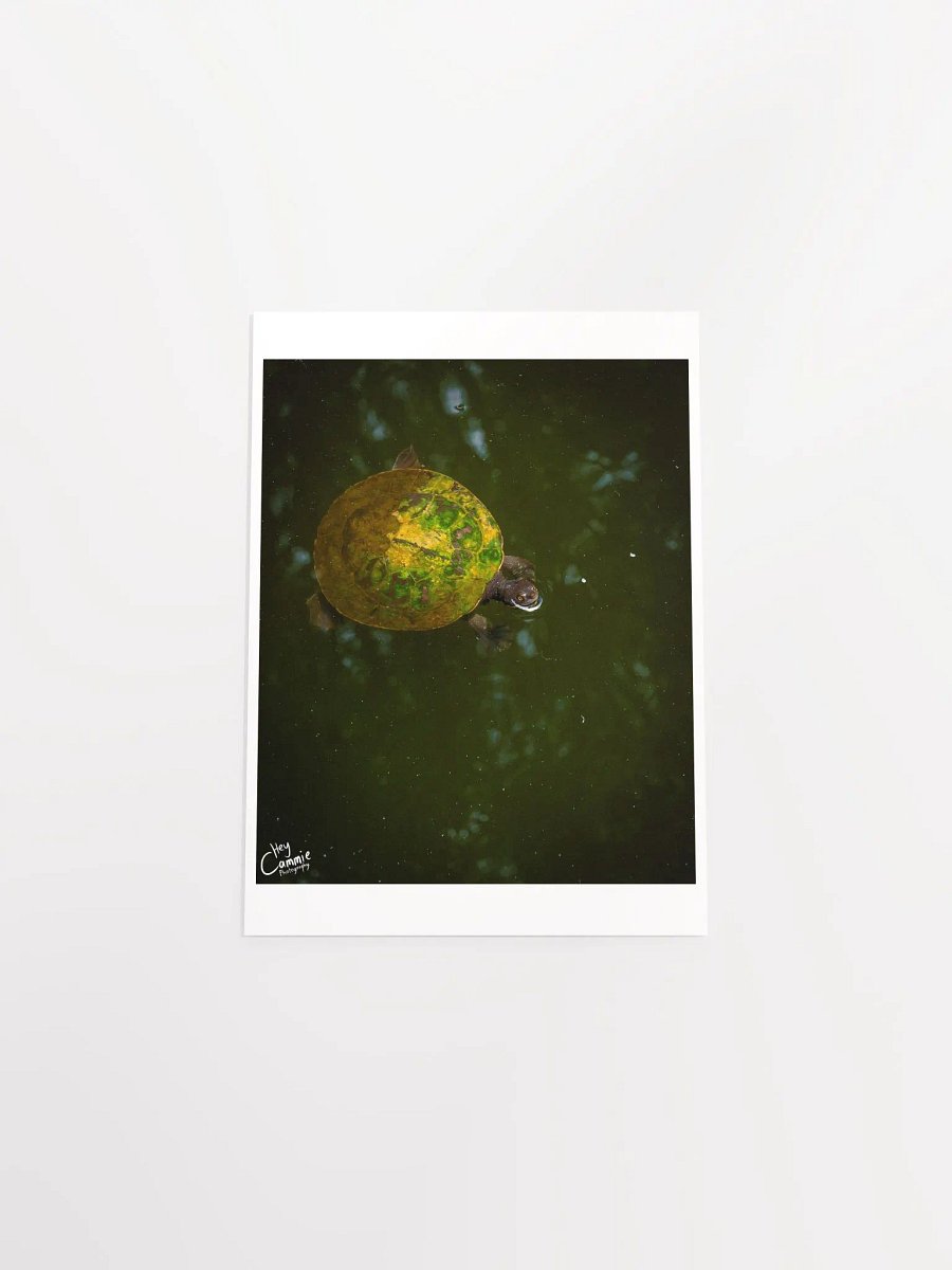 The Turtle Pond - Print product image (4)