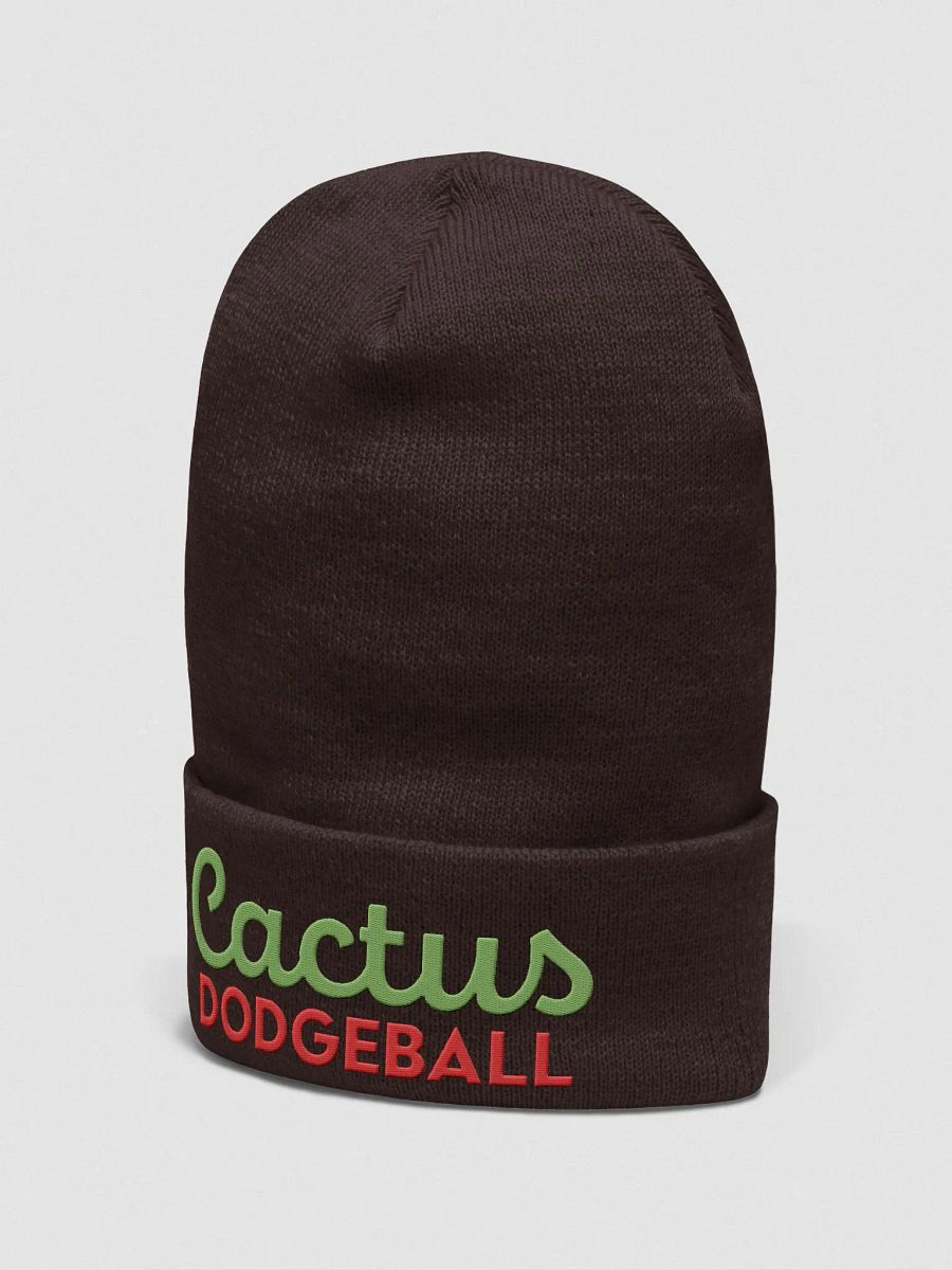 Cactus Dodgeball 