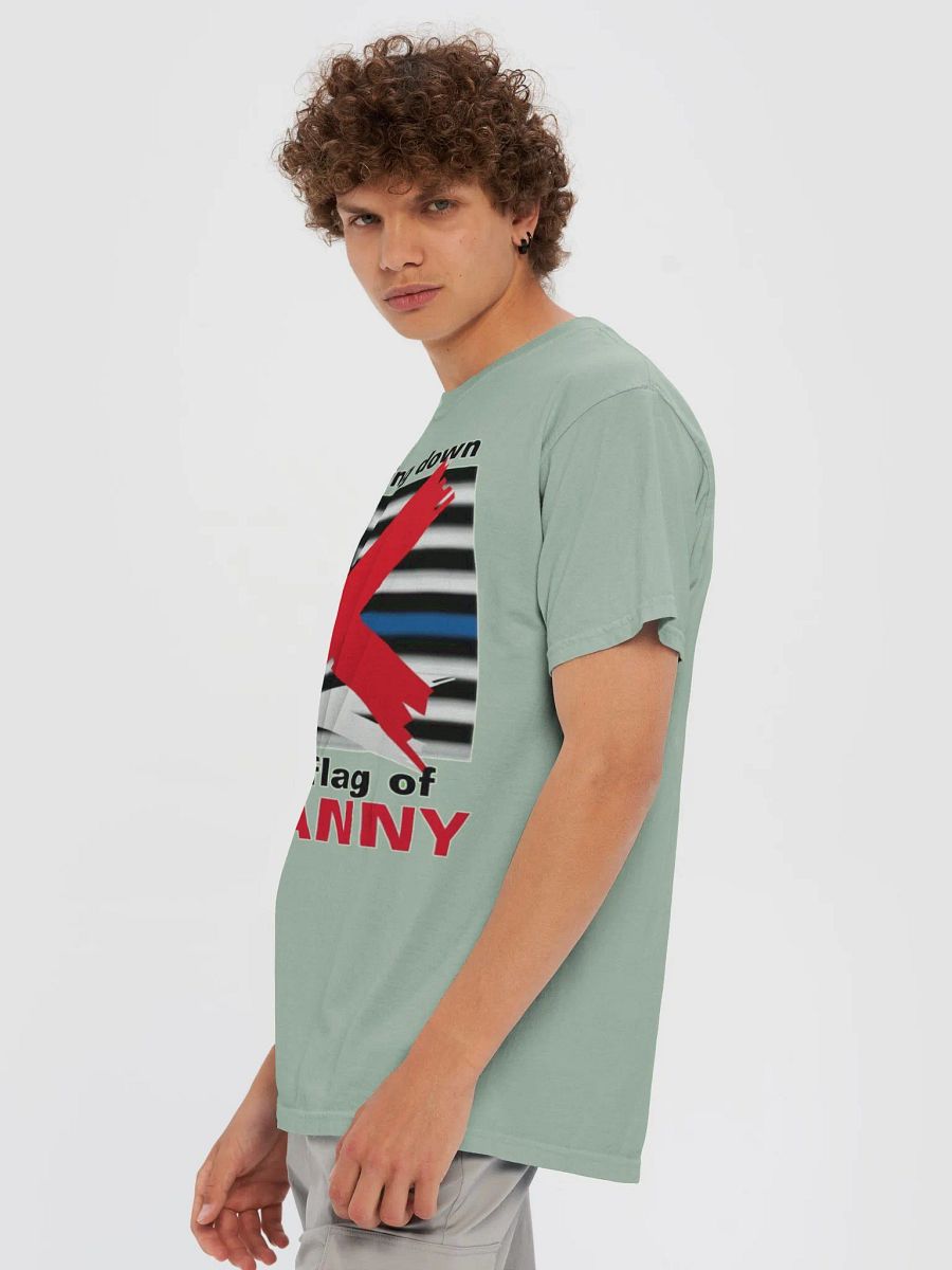 NO BOWING DOWN TO THE FLAG OF TYRANNY product image (84)
