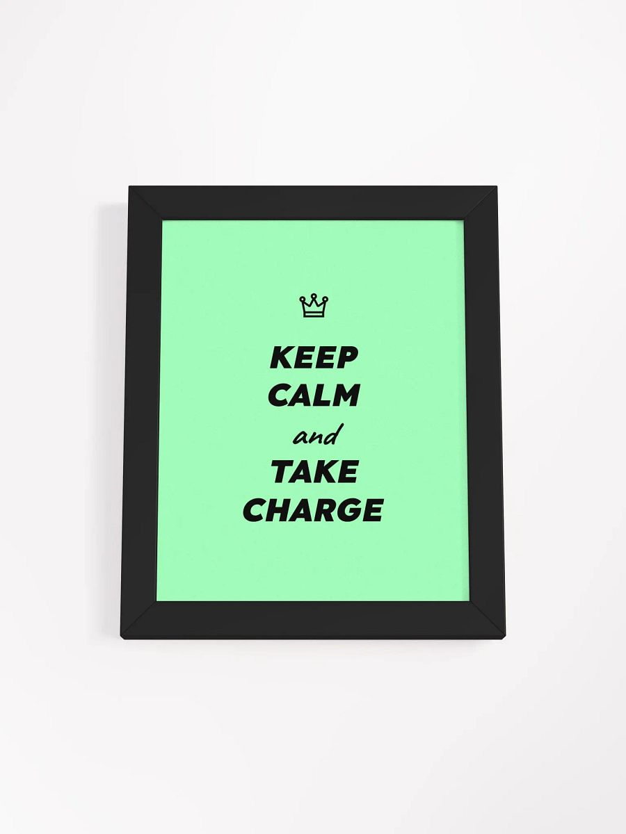 Keep Calm and Take Charge poster product image (46)