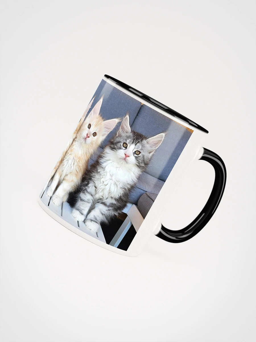 Maine Coon Kittens Mug With Color product image (4)