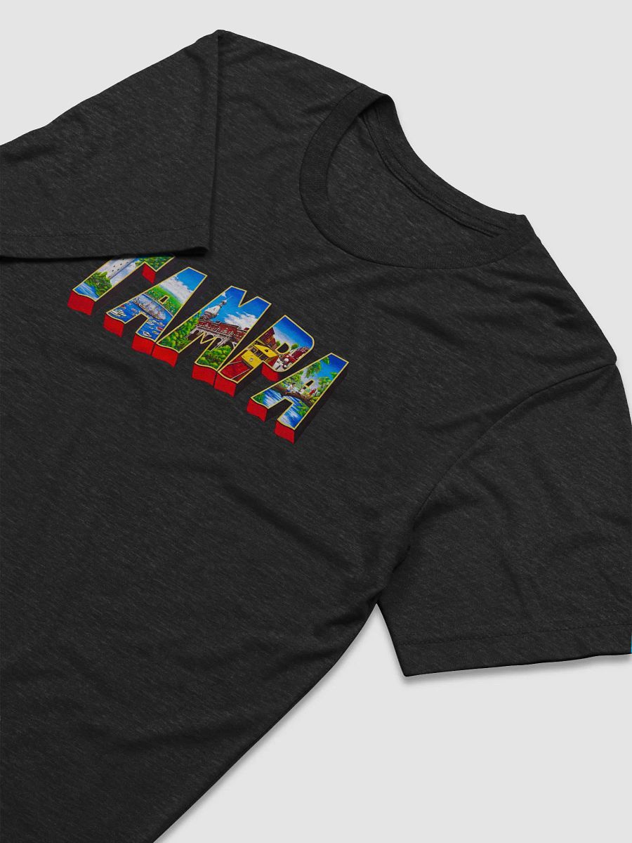 Tampa Landmarks Tri-Blend Tee product image (4)