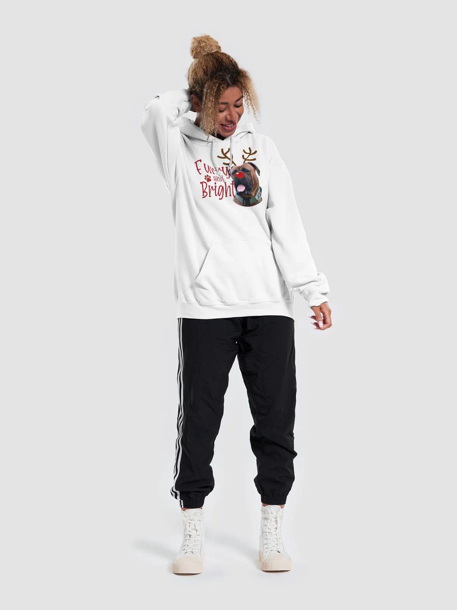 Furry and Bright Hoodie product image (95)