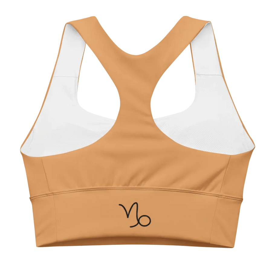 Capricorn Hues Recycled Longline Sports Bra product image (2)