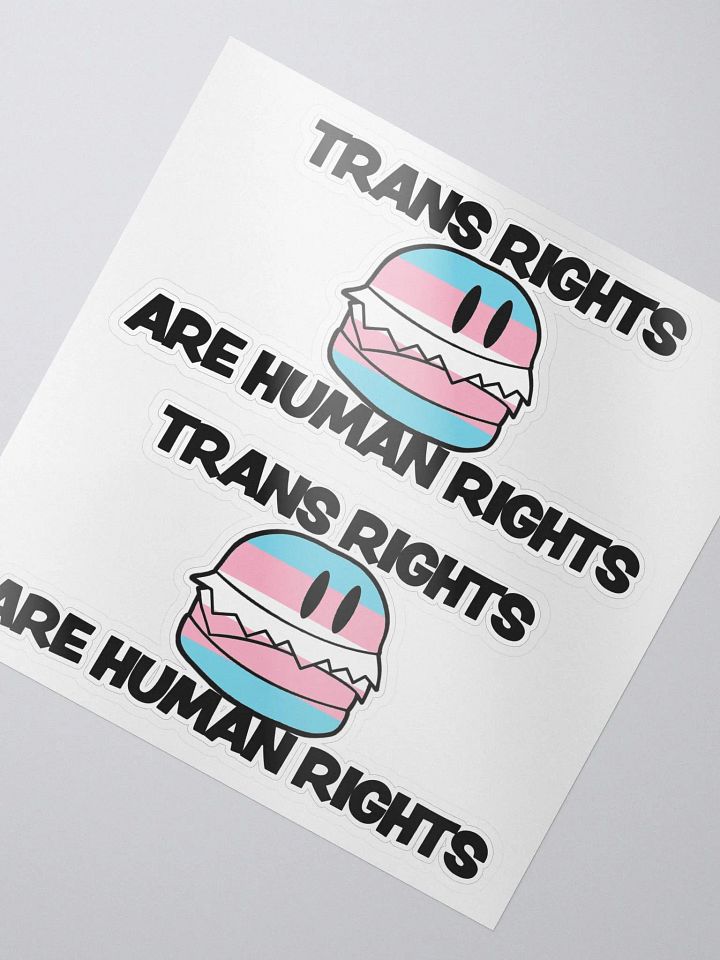 Trans Rights Stickers (2-pack) product image (2)