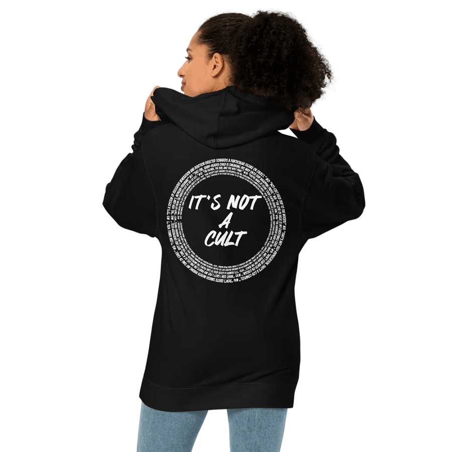 Not-Cult Embroidered Hoodie (DARK) product image (5)
