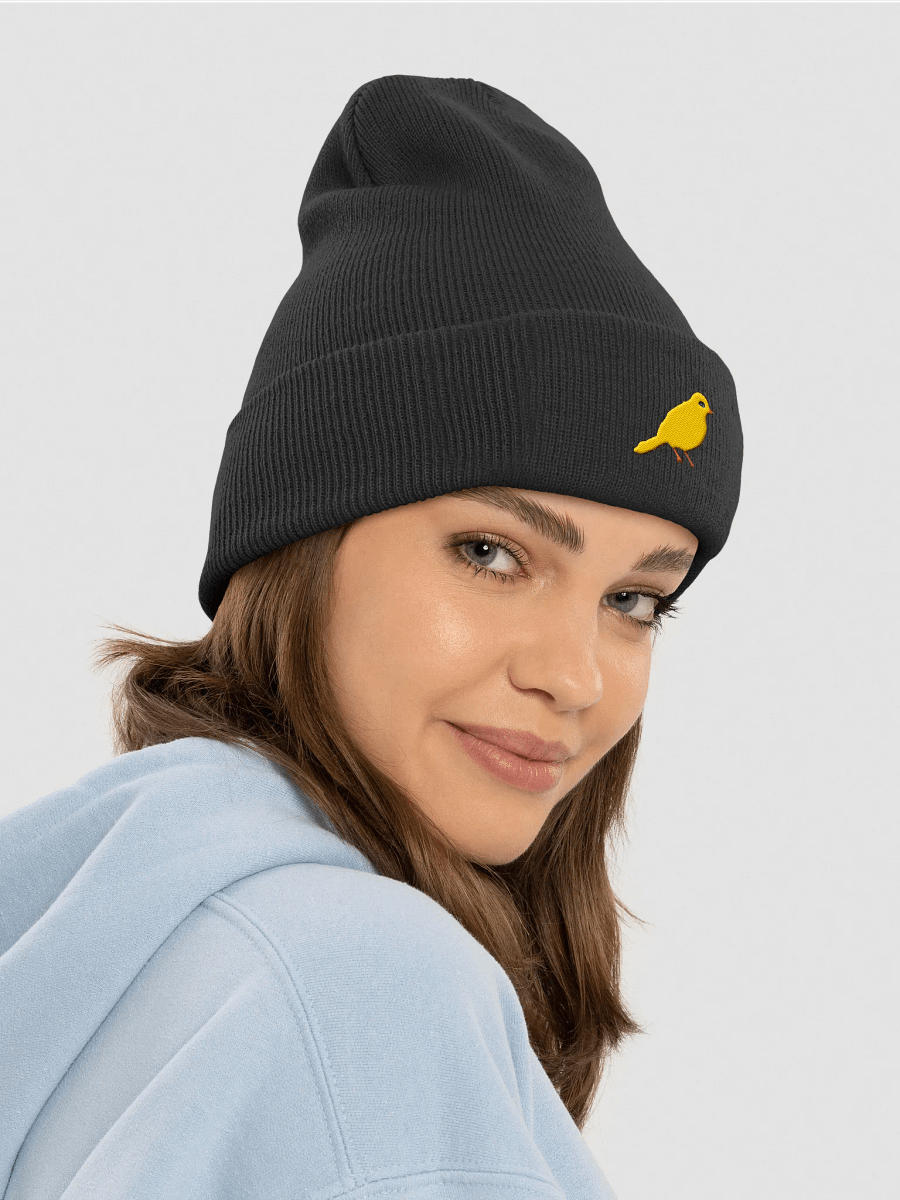 Jitterbird Embroidered Beanie product image (26)