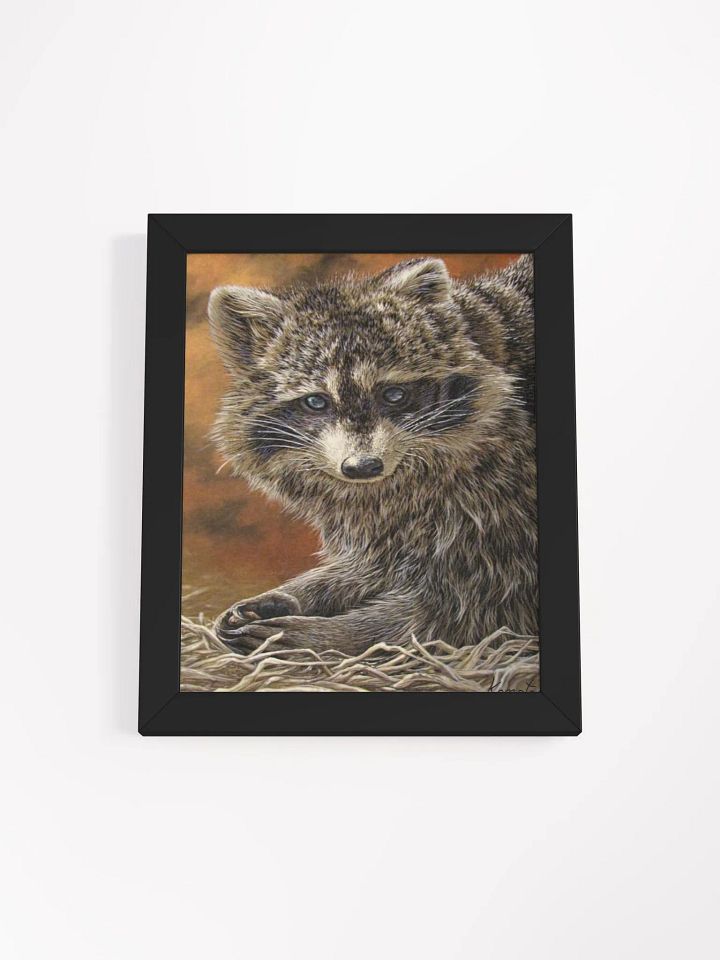 Raton/Racoon Poster encadré/framed product image (2)